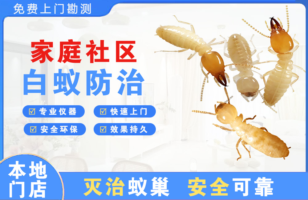兴义家庭社区白蚁防治