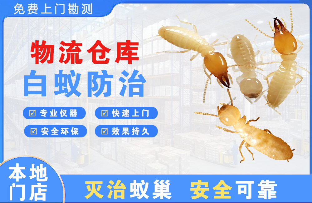 兴义物流仓库白蚁防治